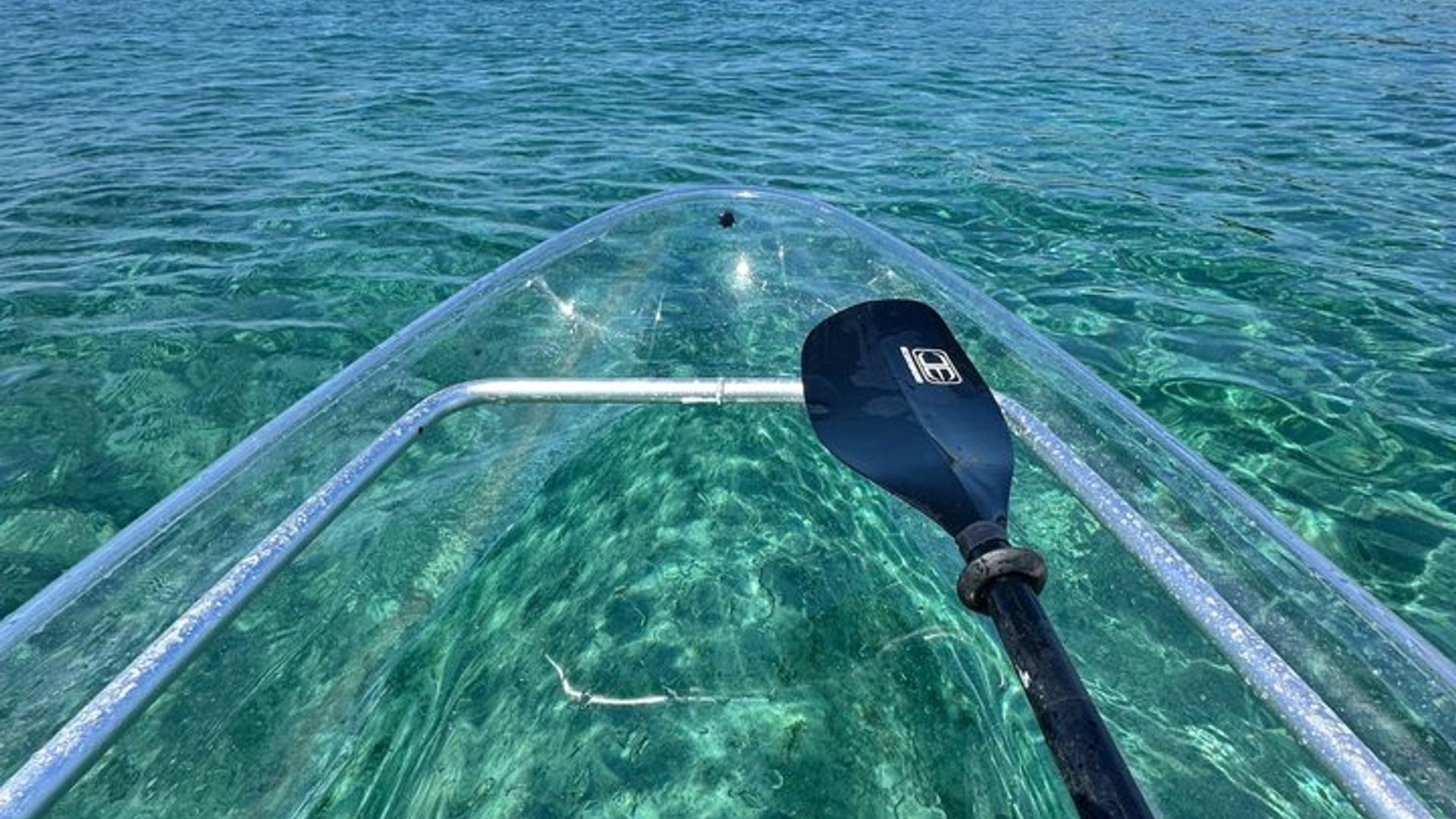 Excursión en kayak por la Riviera Beach a Peanut Island