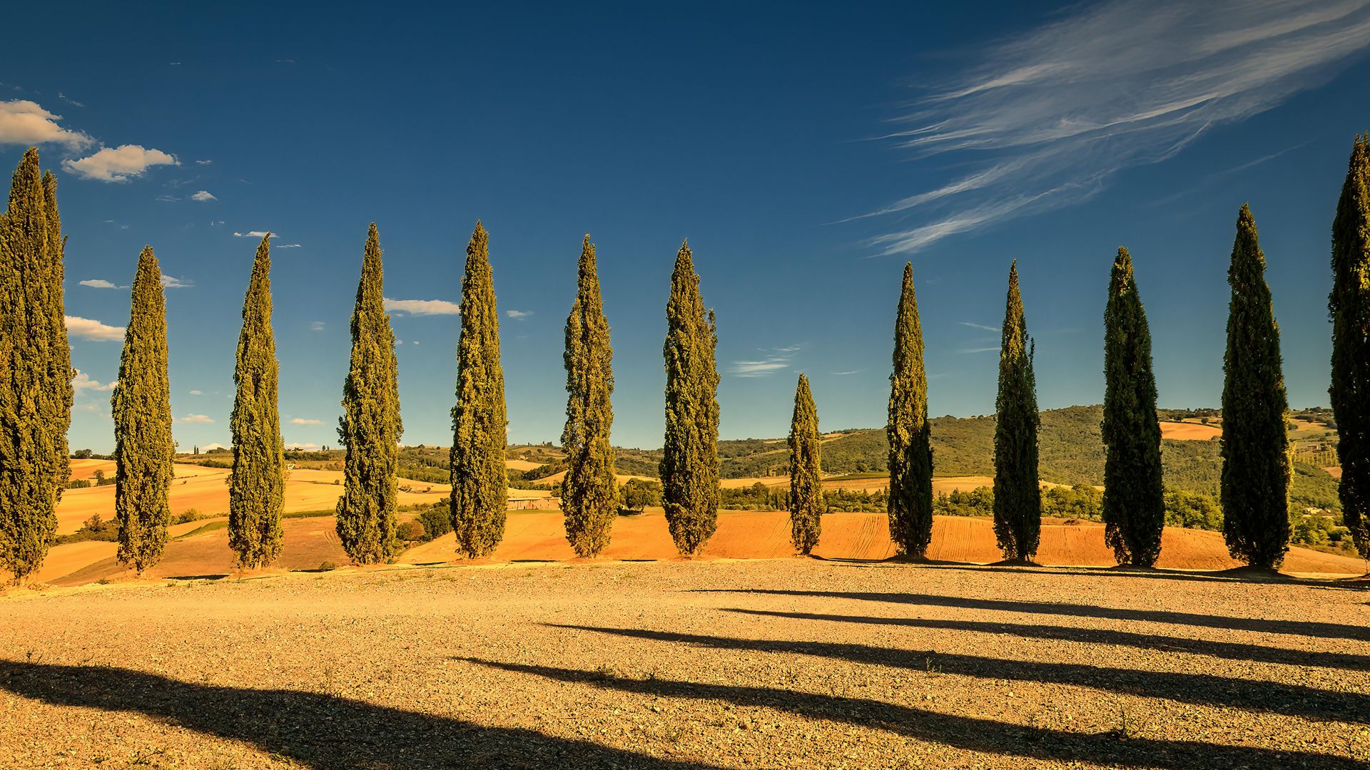 Val d'Orcia Masterpiece: E-Bike, Brunello & UNESCO Views