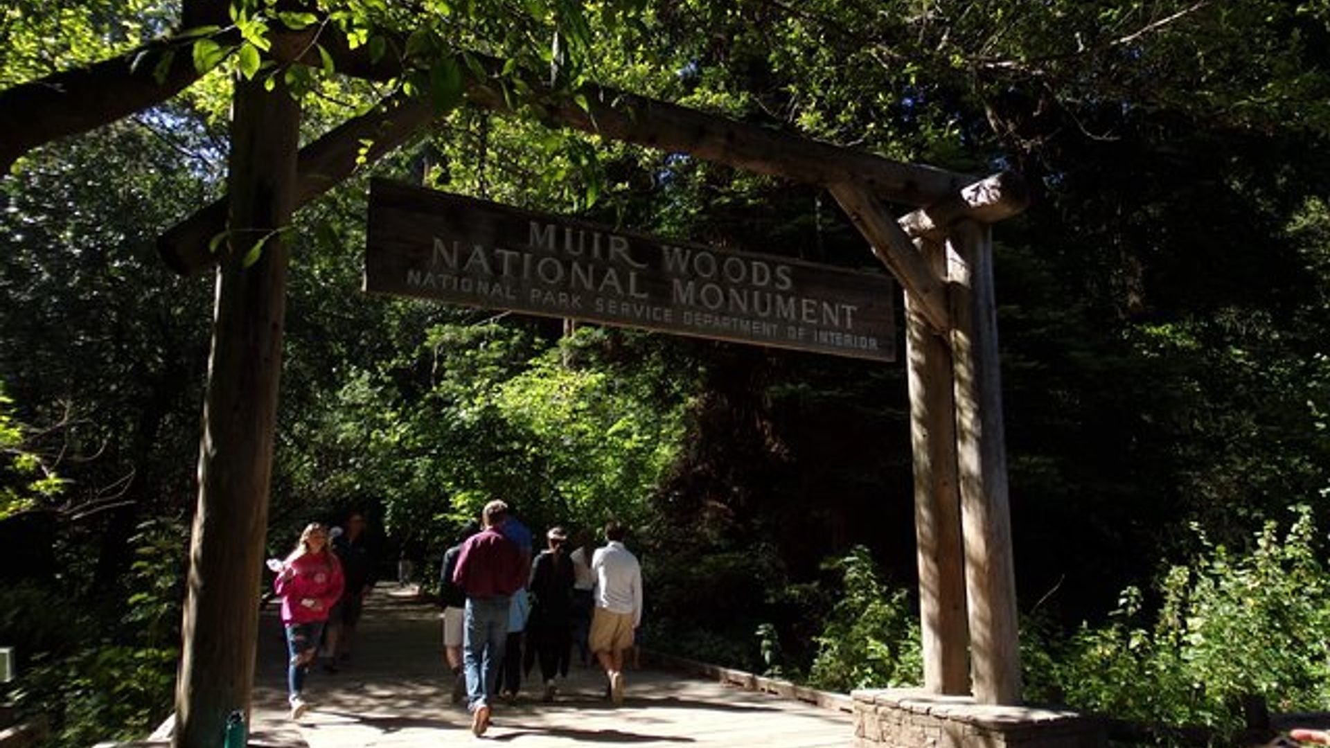 Alcatraz, Muir Woods, Sausalito Day-Trip from San Francisco image 1