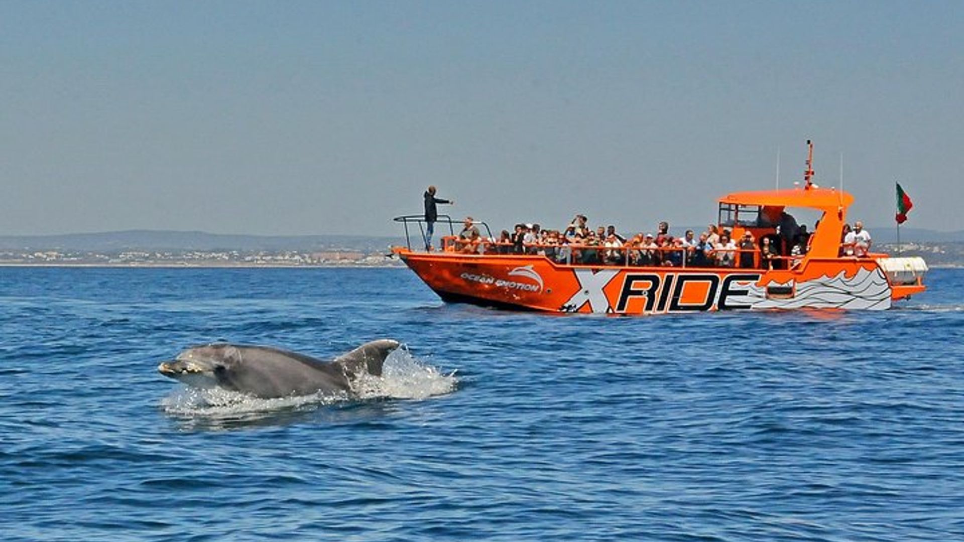 Croisière avec les dauphins et les grottes de l'Algarve avec la grotte de Benagil