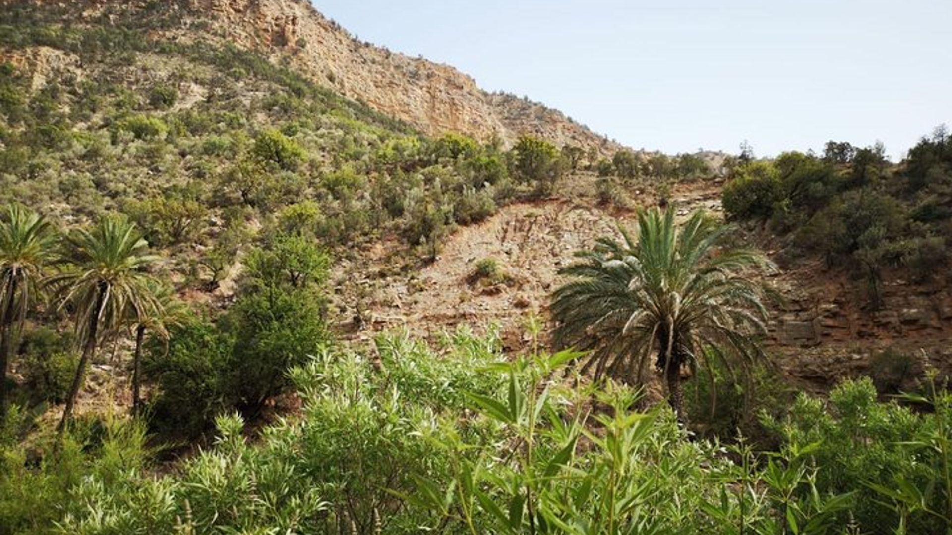 Agadir Half-Day Paradise Valley Tour