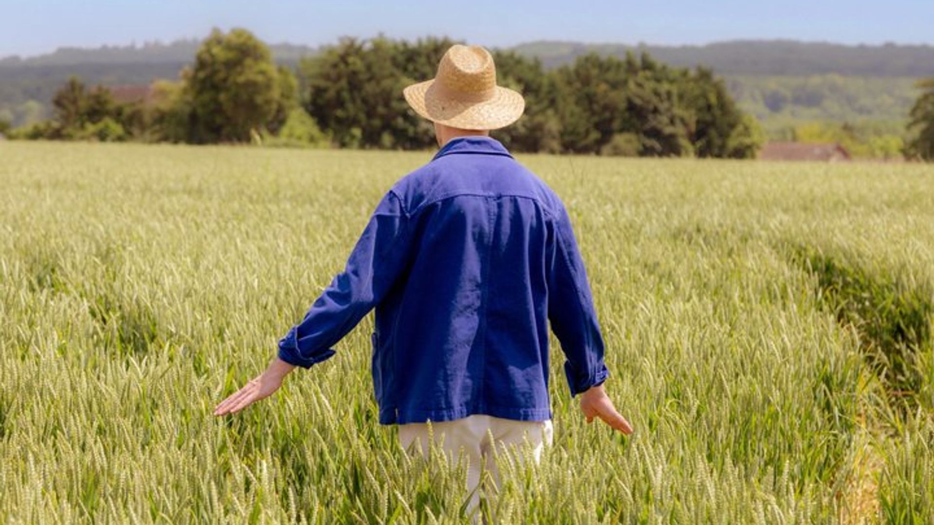 Excursión inmersiva única en Van Gogh en Auvers sur Oise - 1,5 horas