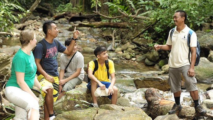 JungleWalla Langkawi Morning Rainforest Walking Tour