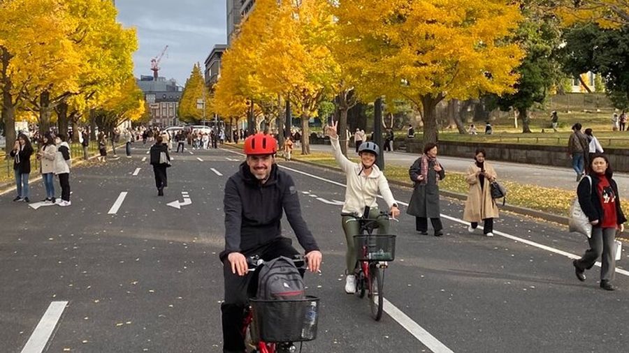 Tokyo Small-Group Bike Tour: Highlights and Hidden Gems