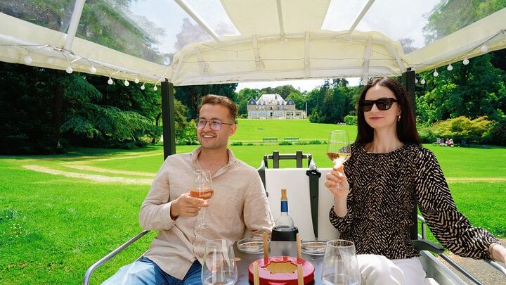 Geneva: Private Tuk-Tuk Tour With Wine, Fondue, and Pickup