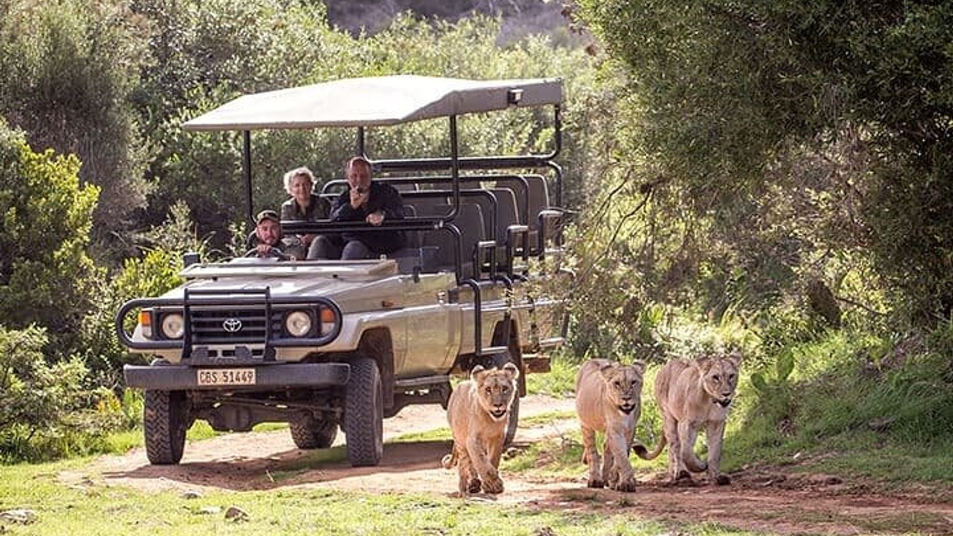 3 Days 2 Nights Garden Route Private Tour from Cape Town