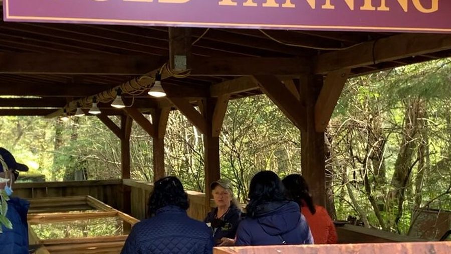 Juneau Underground Peterson Gold Mine and Panning Experience