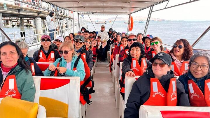 Paracas, Ballestas Islands and Huacachina Guided Tour