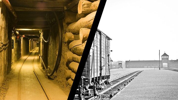 Auschwitz Birkenau Transfer and Guide with Salt Mine Combo Option