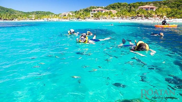 Roatan Excursion: Beach Break/ Plus Sloth Park and Snorkel Adventure
