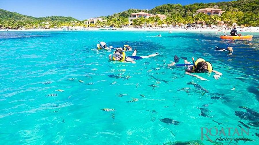 Roatan Excursion: Beach Break/ Plus Sloth Park and Snorkel Adventure