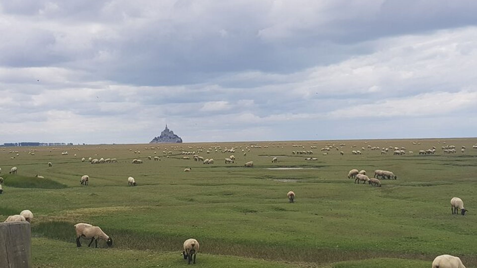 Tour privado de Rennes Mt Saint-Michel, Cancale y Saint-Malo