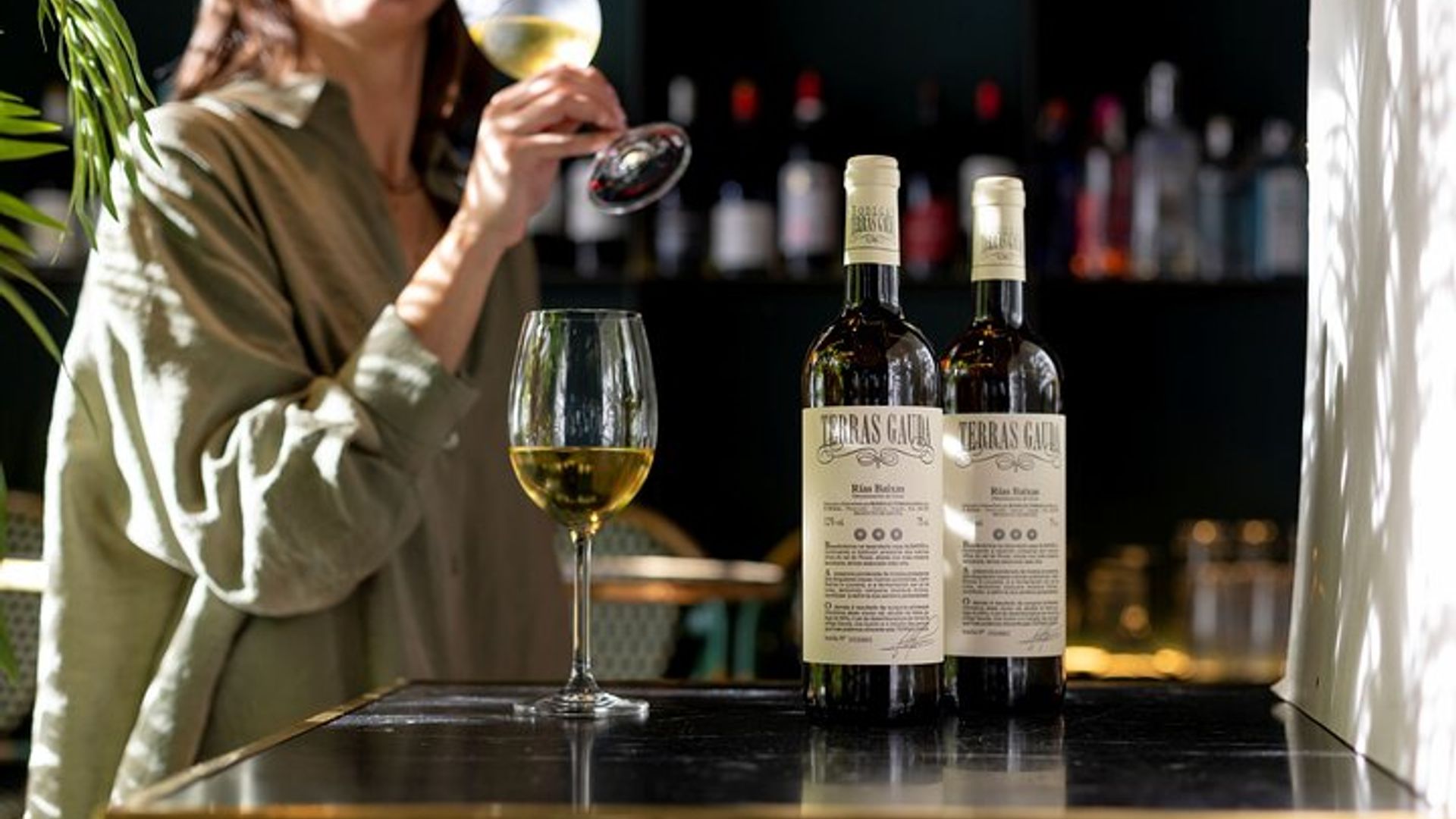 Albariño Wine Tour: Goûtez, apprenez et ramenez un cadeau spécial