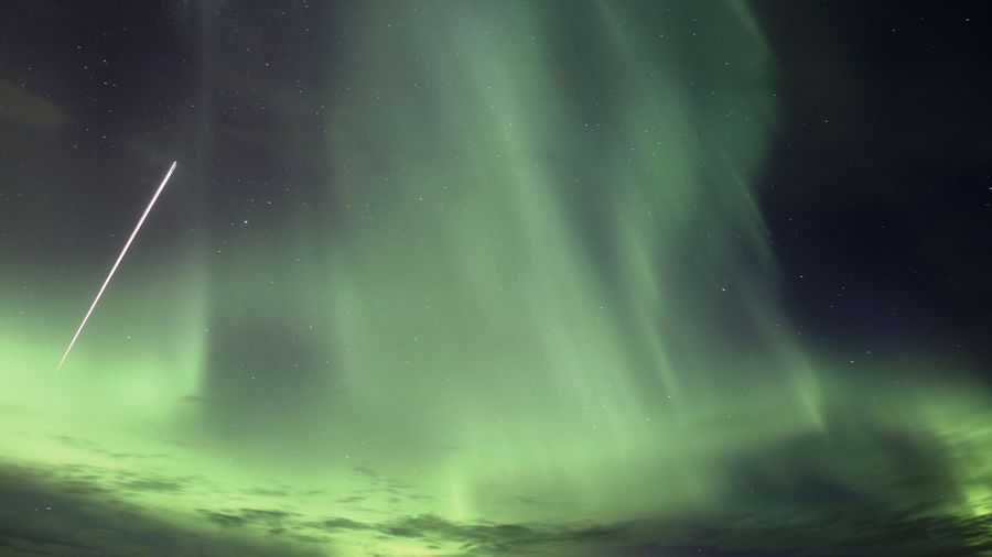 Forest Lagoon & Northern Lights