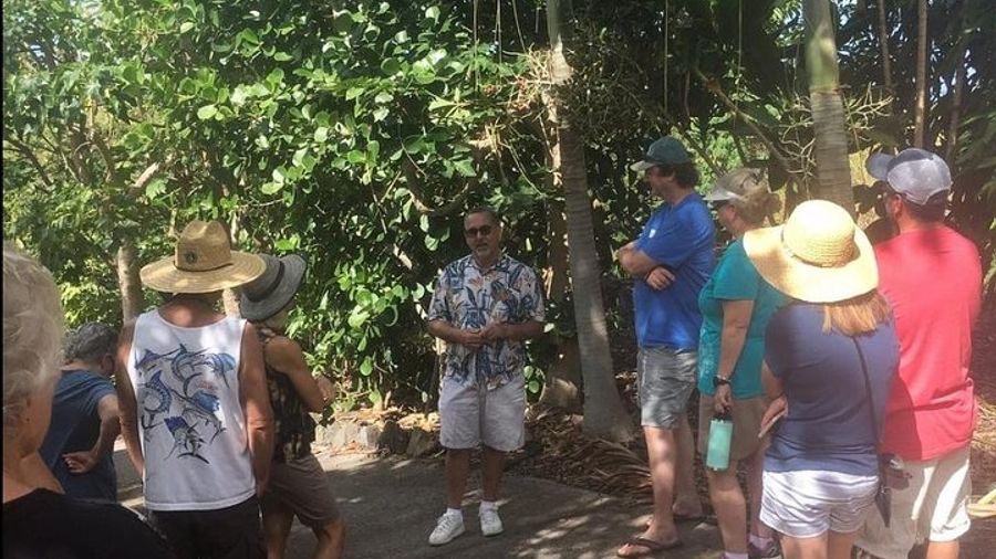 Holualoa Coffee and Chocolate Plantation 2-hour Guided Tour