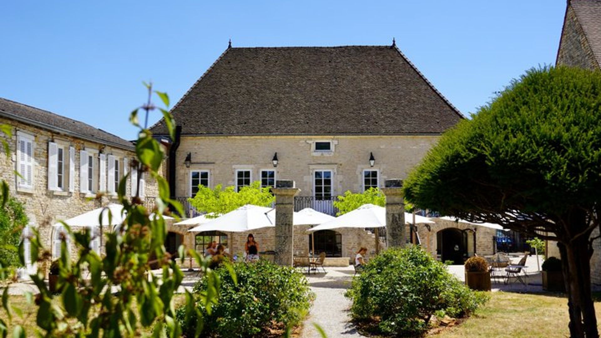 Beaune: Small-Group Wineries Tour From Dijon