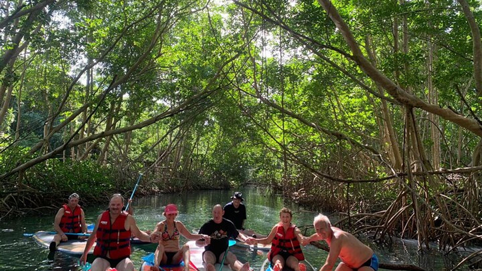 Mangrove Paddle Ride Sainte Anne Guadeloupe