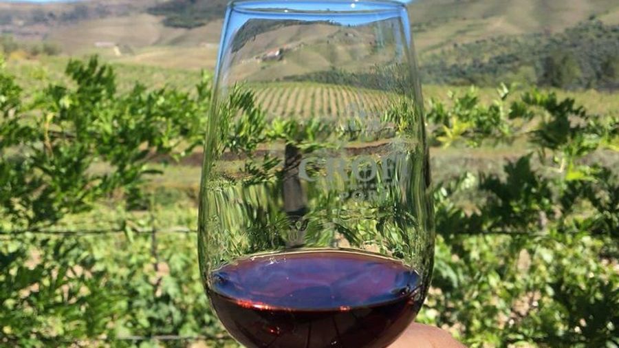 Private Douro Valley Day Trip From Porto With Wine Tasting