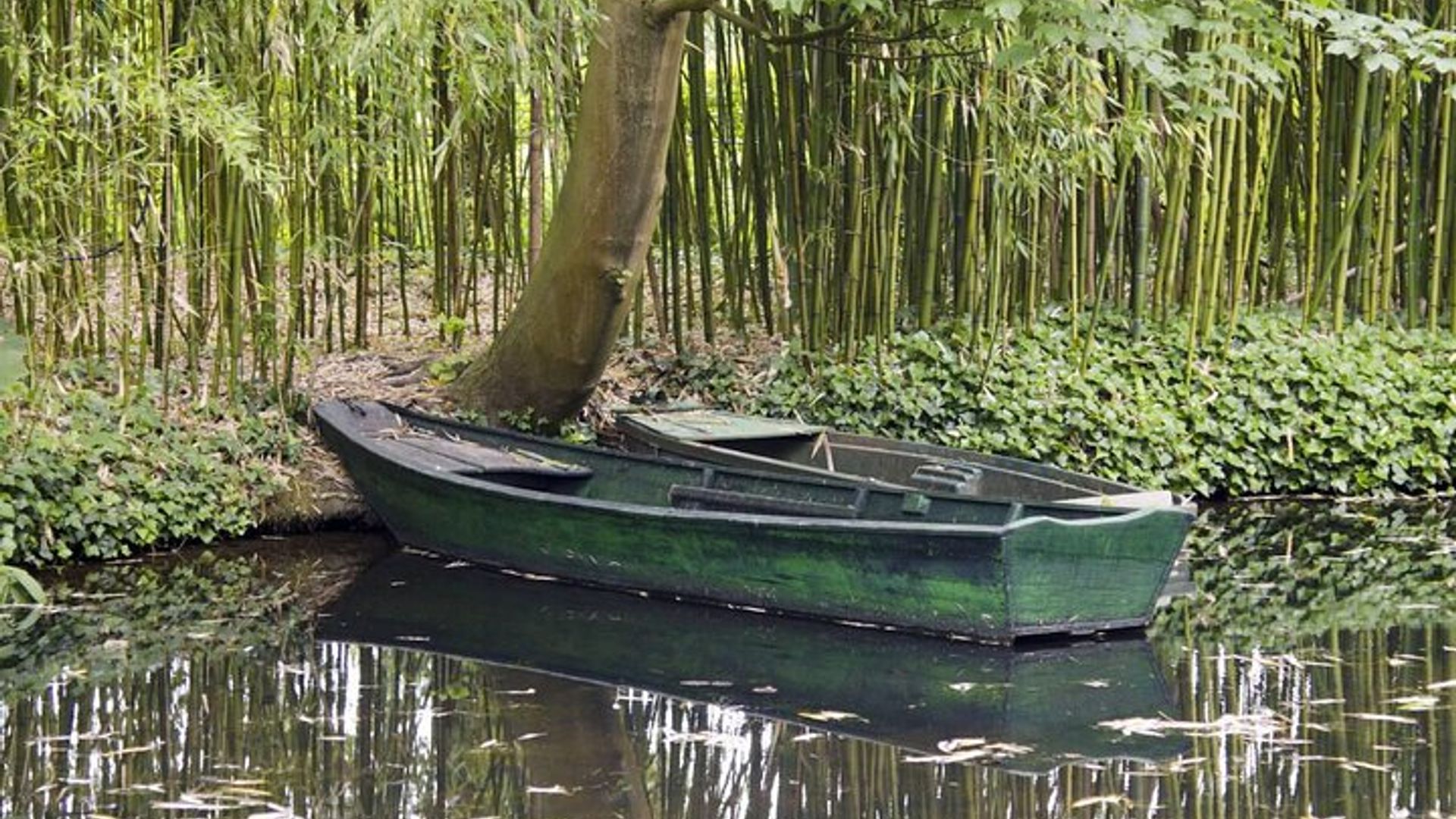 Private Halbtagestour zum Monet's Garden in Paris