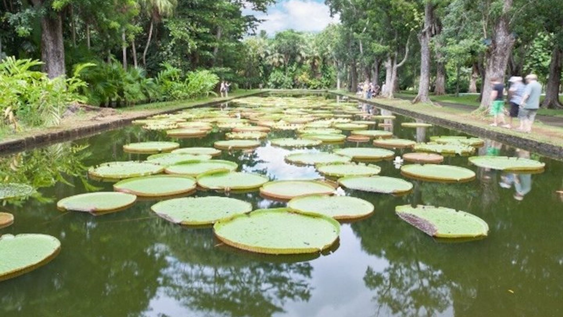 Mauritius Private 3-Day Tour With Optional Wild Dolphin Swim