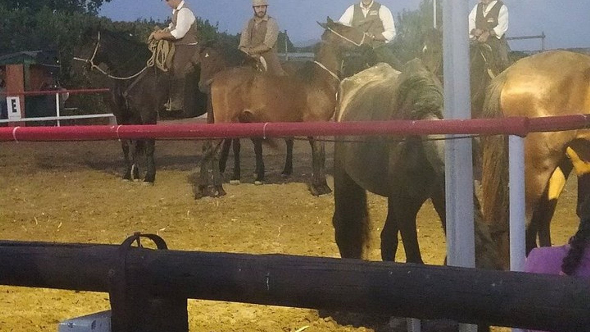 Butteri Maremmani Show - Bildungsfarm - Maremmana Abendessen