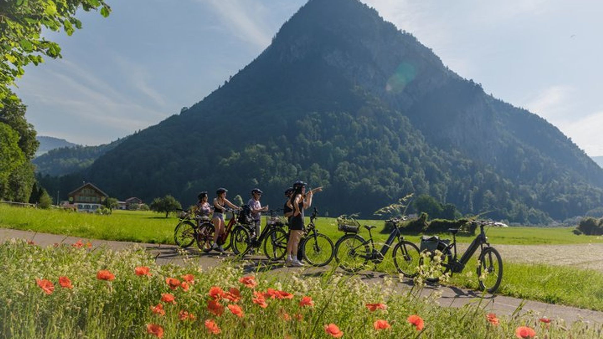Interlaken E-Bike Tour: Countryside and Castle Ruins