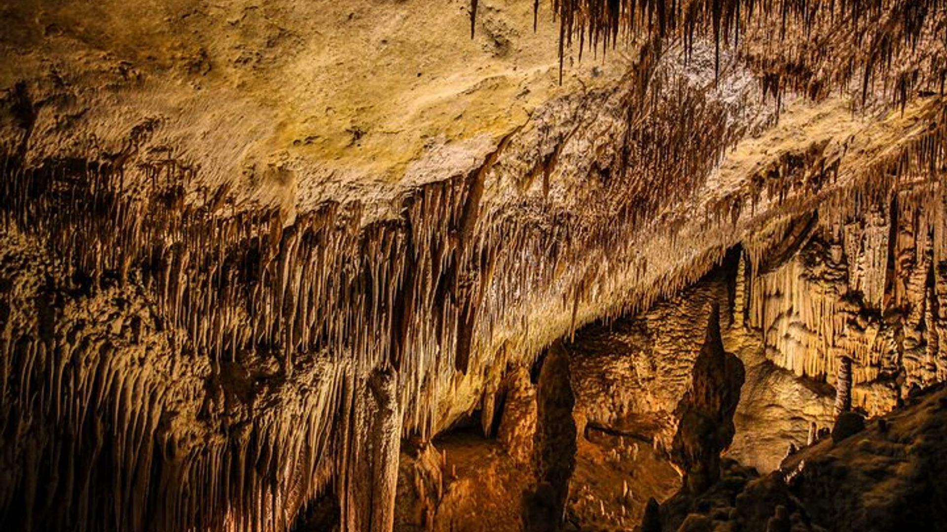 Tour di mezza giornata alle Grotte del Drach con giro in barca e concerto di musica