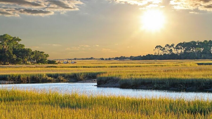 Hilton Head Dolphin-Watching Sunset Cruise in the Salt Marsh