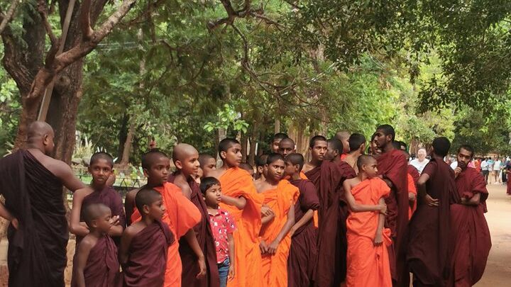 Around Sri Lanka Tours