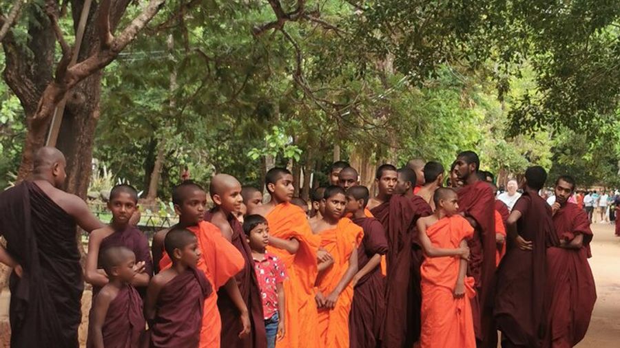 Around Sri Lanka Tours