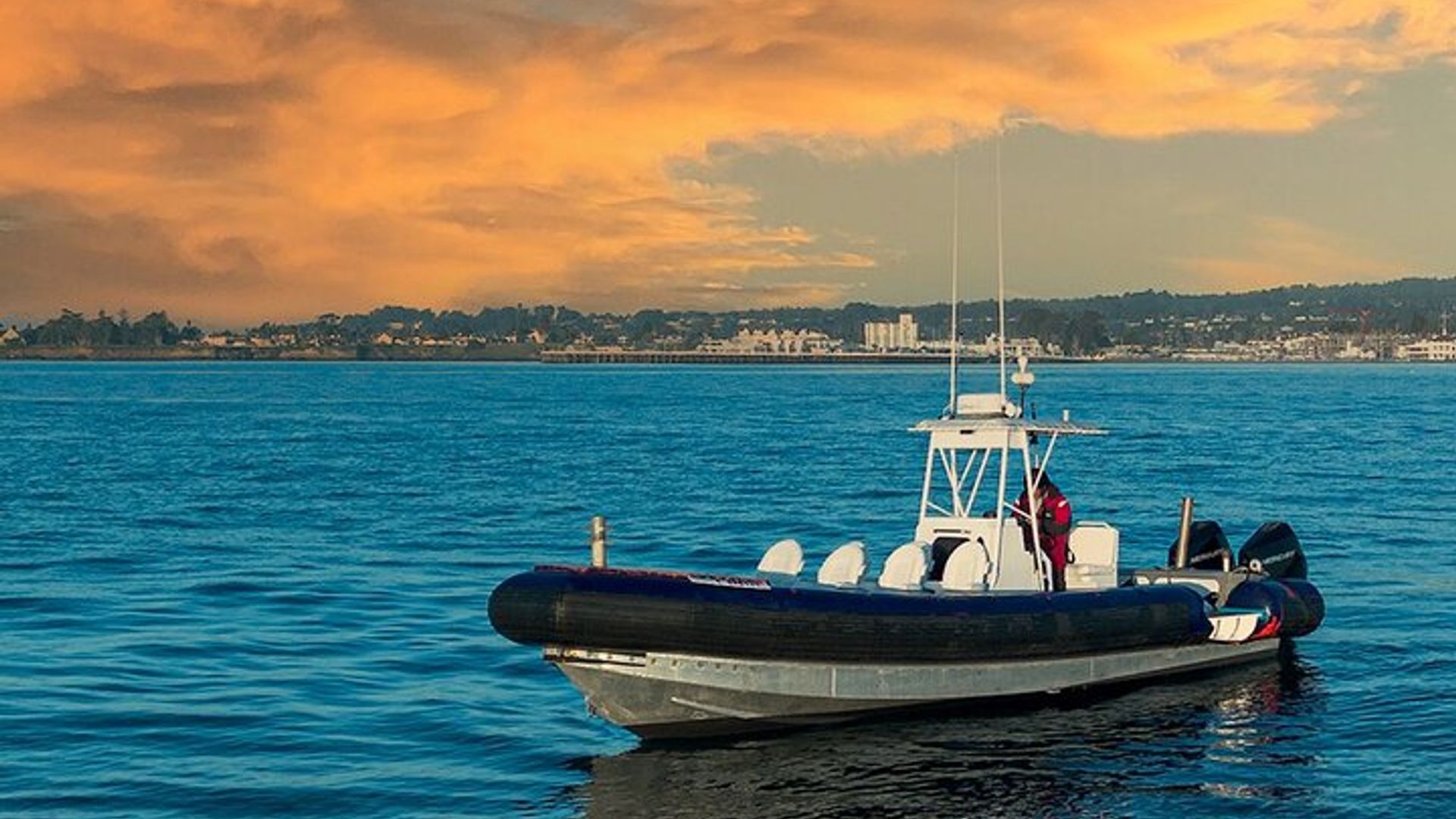 Top-bewertete Aktivitäten in Monterey Bay