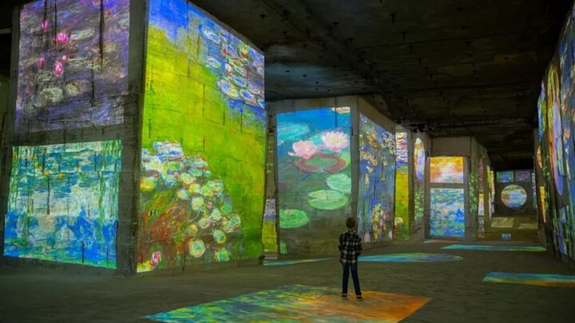 The Carrières de Lumières by bike for half-day