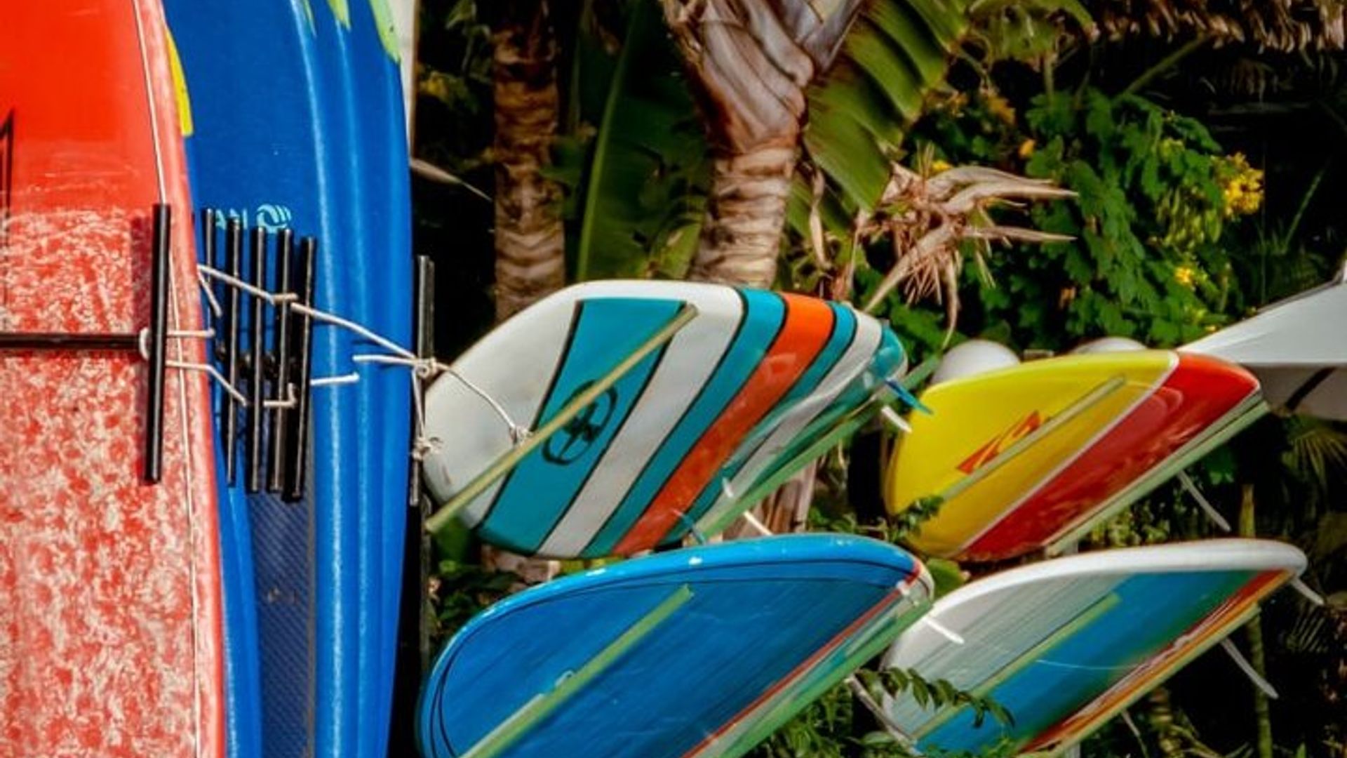 Excursión de día completo a la isla de Sal en Santa María