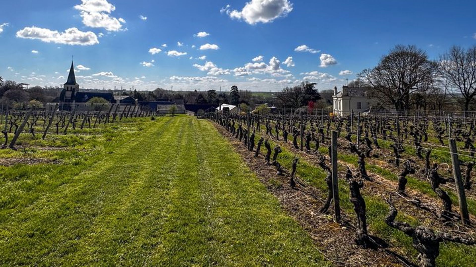 Dégustation de vin avec le vigneron au Domaine Beaumont Distré-Saumur