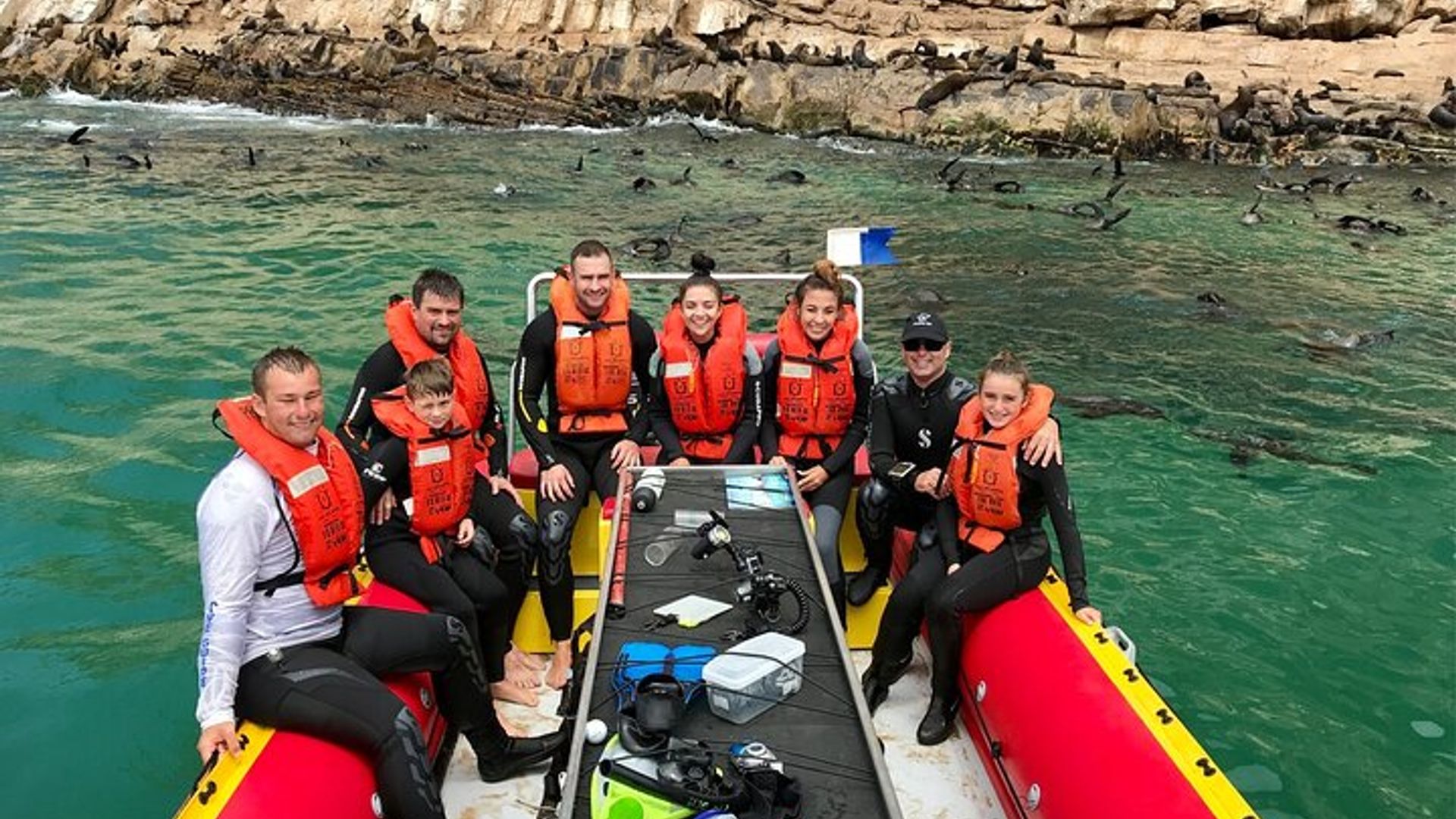 Swim with the Seals in Plettenberg Bay