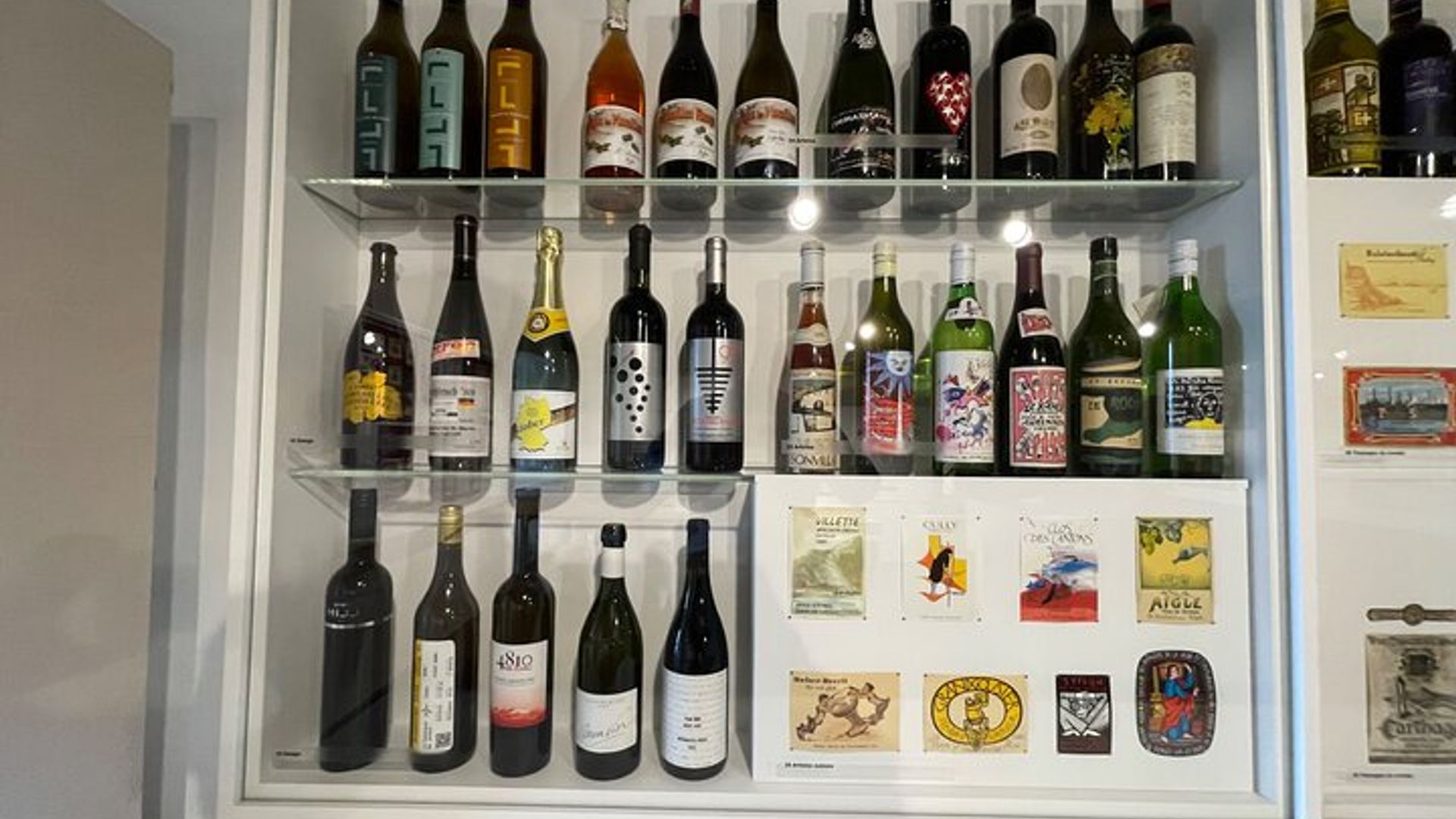 Visit DEs Vineyards of Lavaux and Wine Museum at the Château d'Aigle
