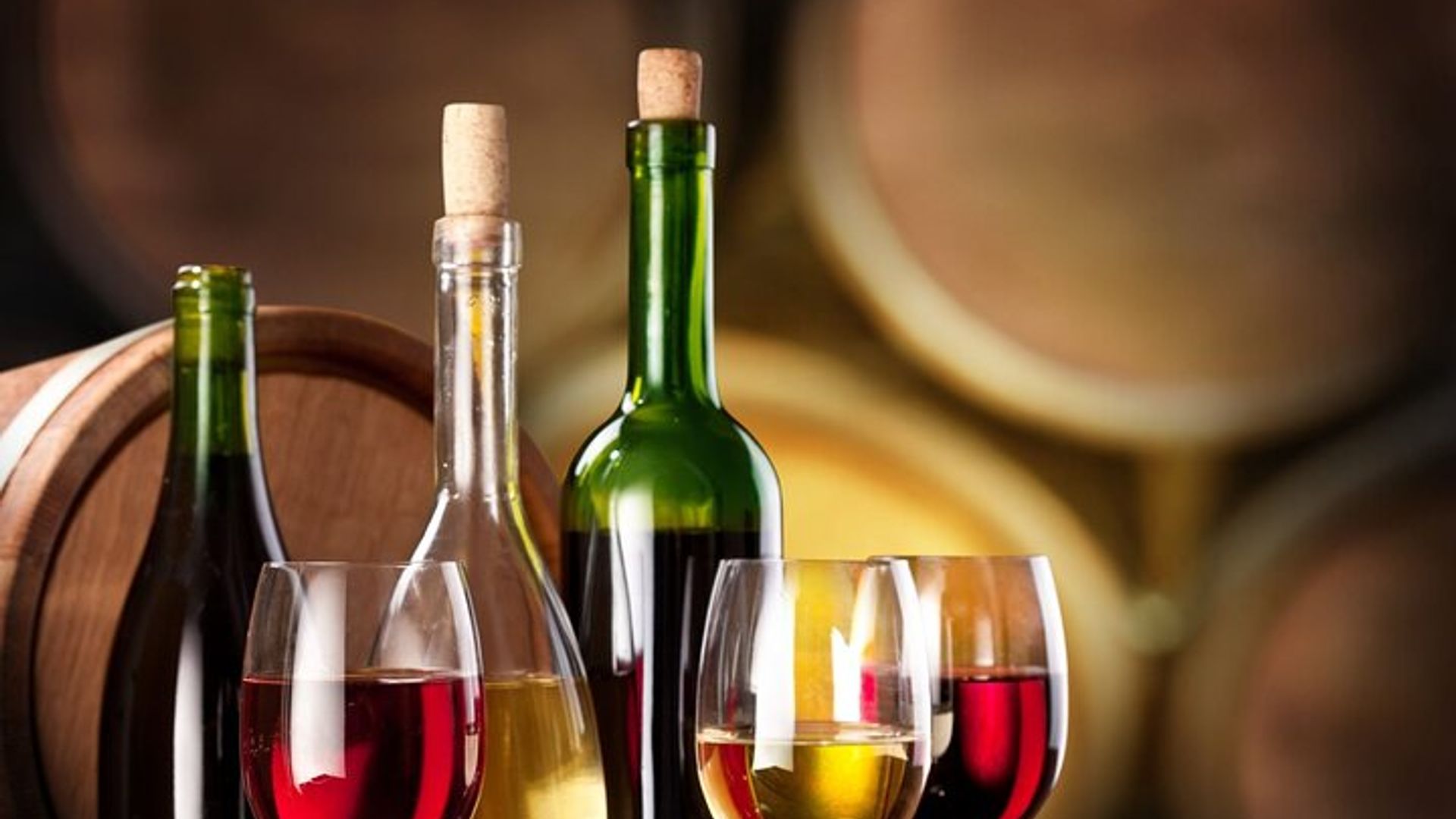 Tour de 6 días en grupo pequeño por la ruta del jardín Fr CapeTown - Salida todos los días