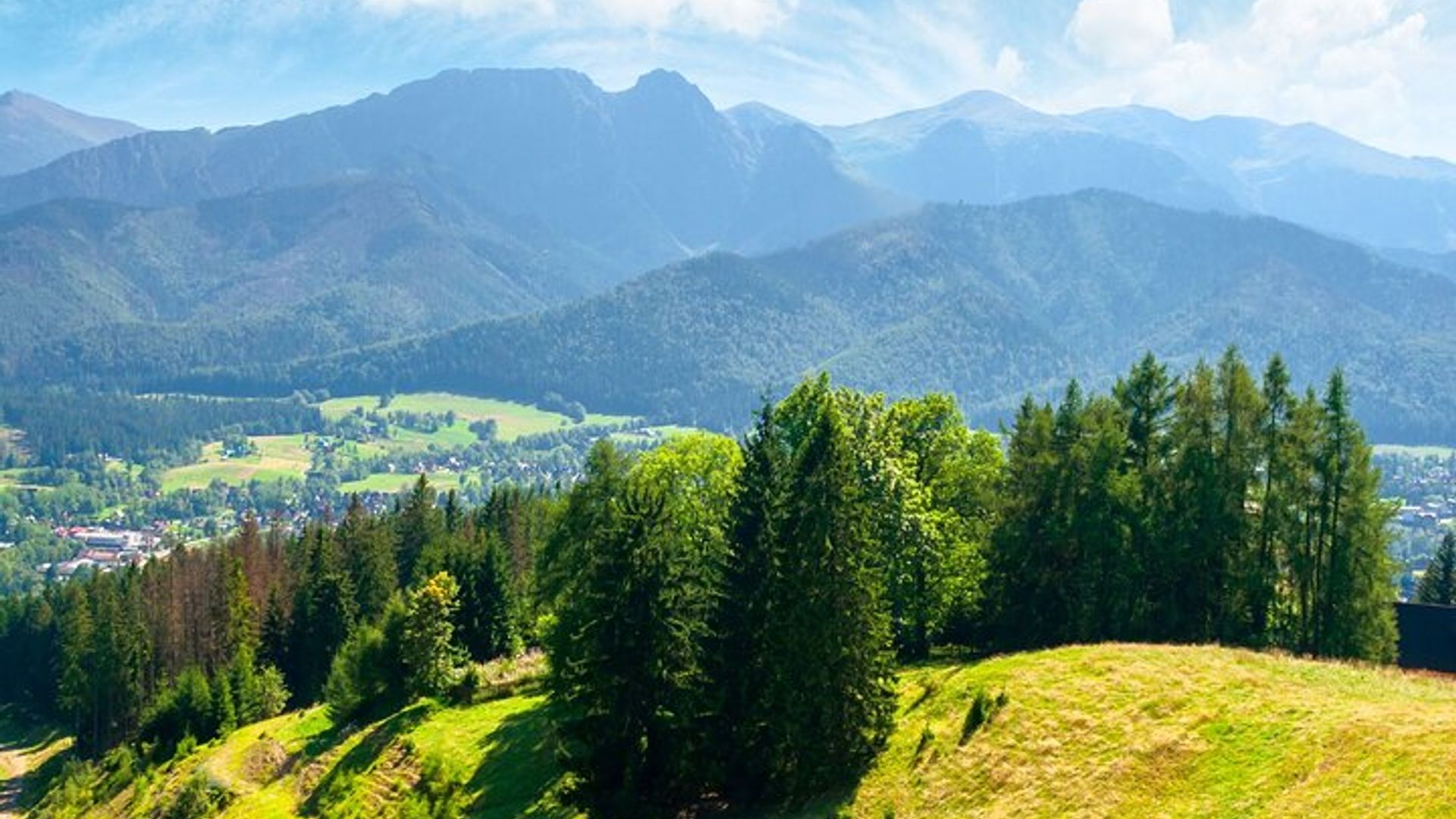 Tree Top Walk in Slovakia & Zakopane Private Tour From Krakow
