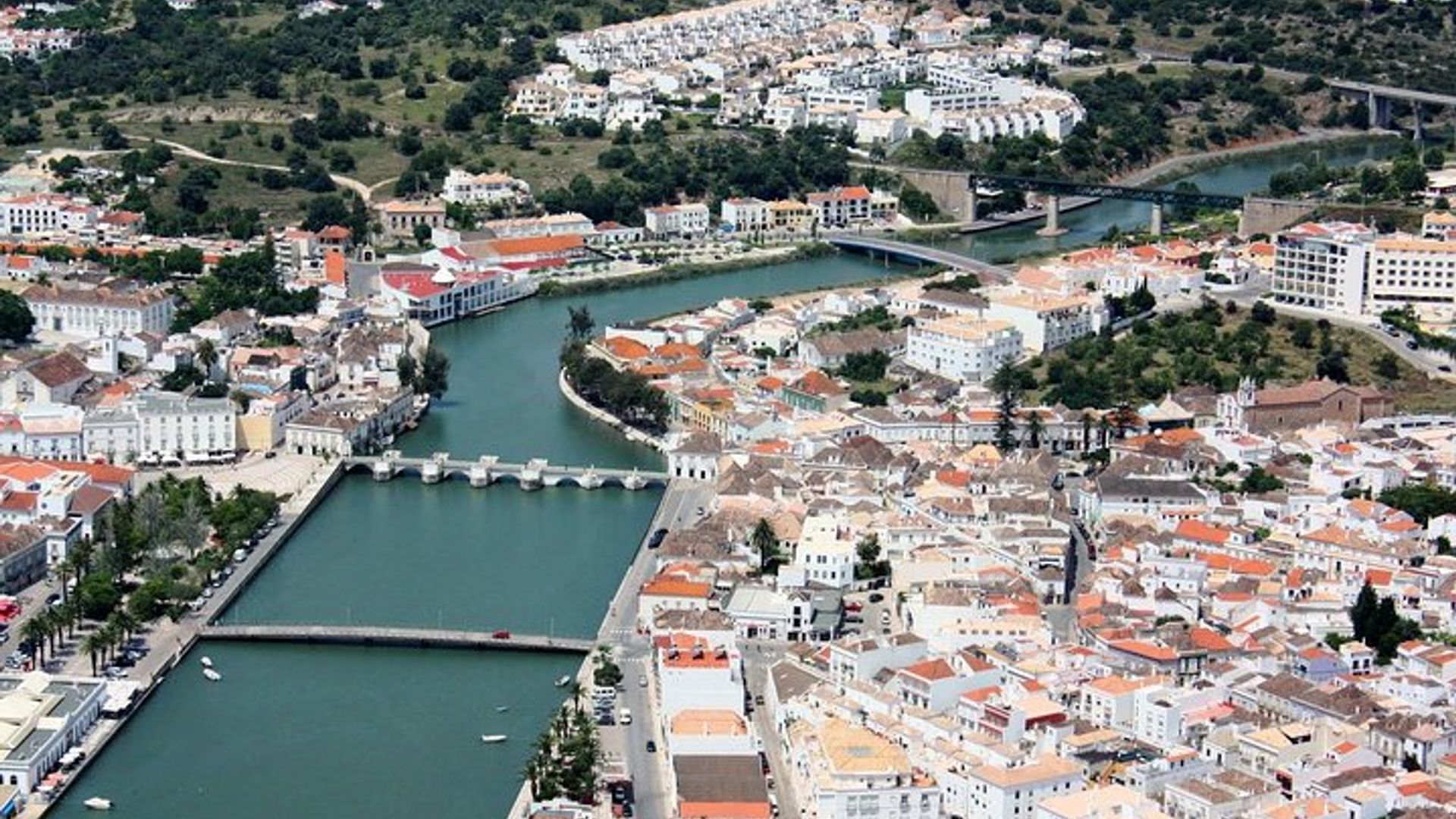 Octopus Route: Half Day Boat Trip