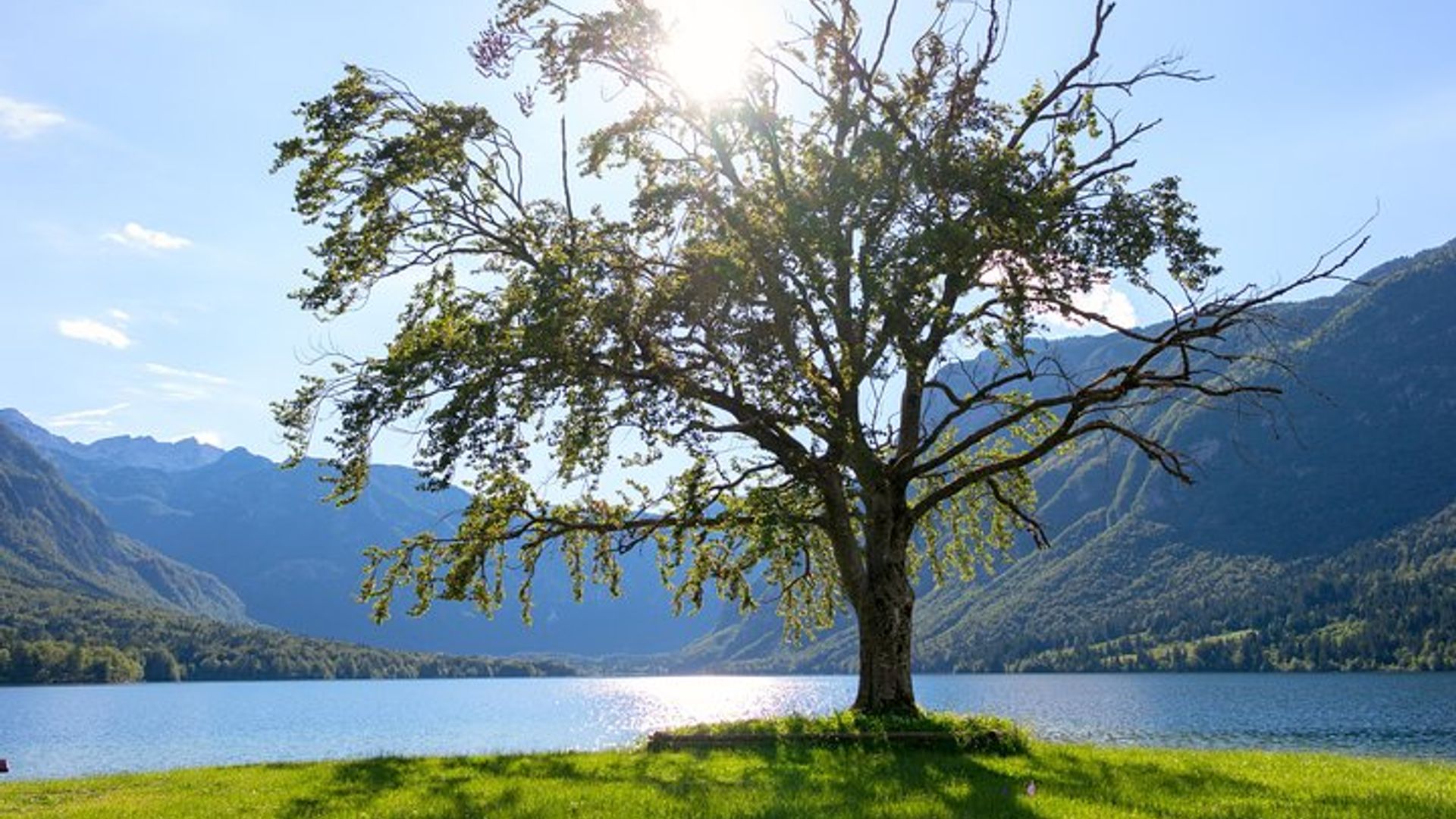 Lake Bled and Bohinj with Savica waterfall included