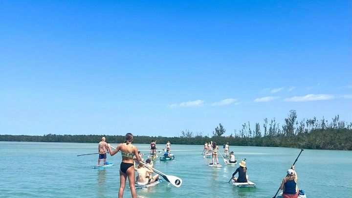Sarasota Small-Group Siesta Key Kayak or Paddleboard Tour