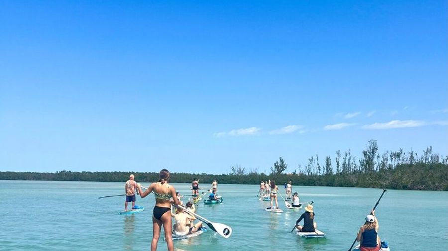 Sarasota Small-Group Mangroves & Midnight Pass Kayak Tour