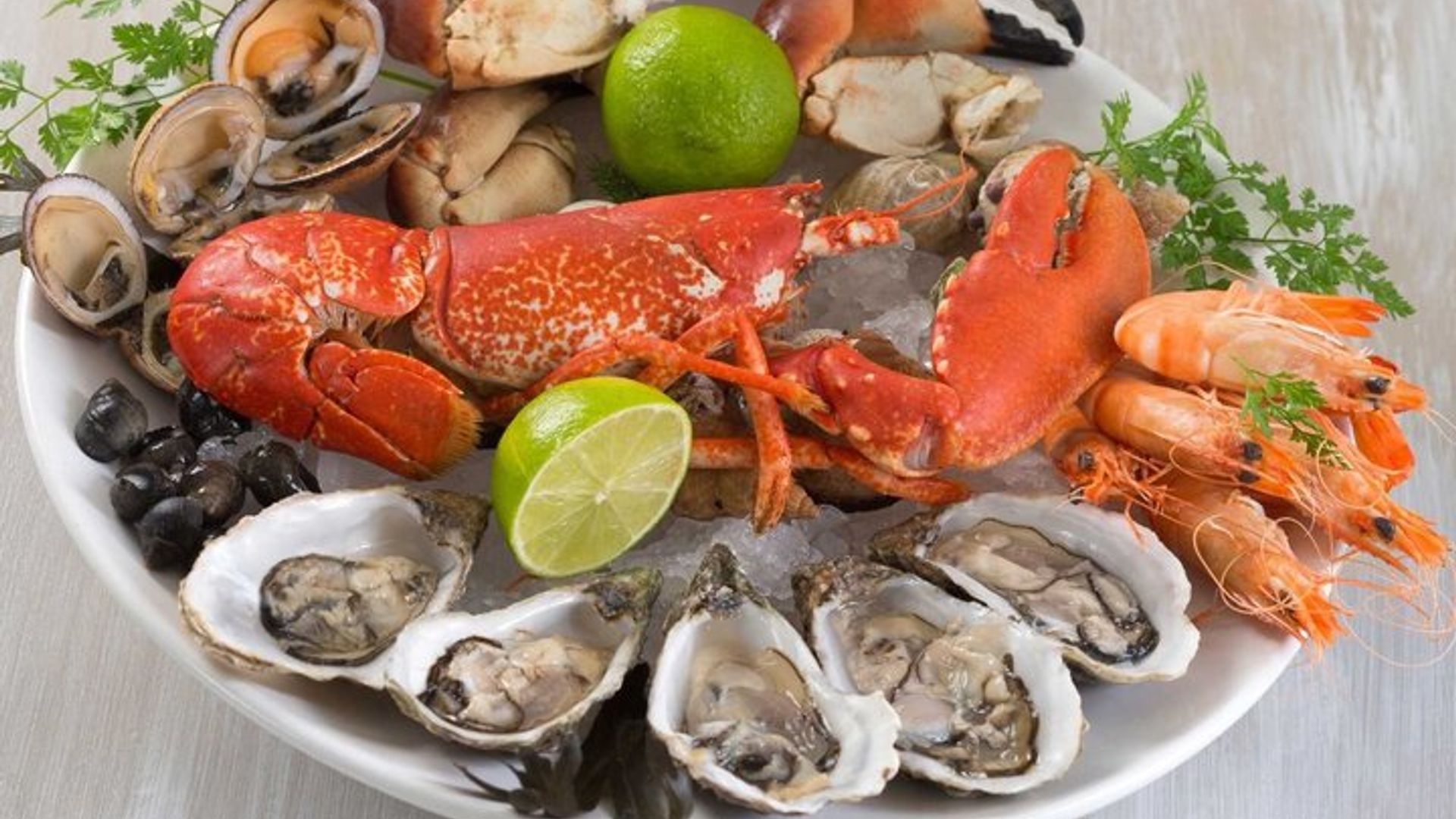 Cannes Lerins Islands Private Half-Day Sailing Snorkeling Tour