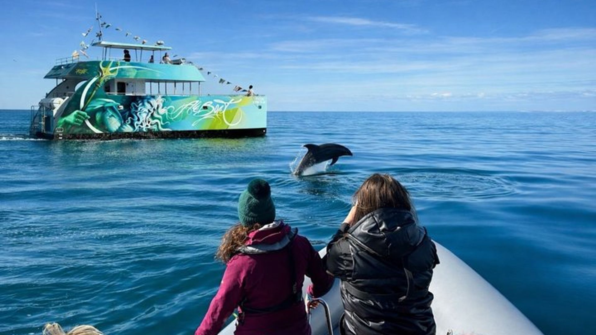 Cruise with Dolphins and Benagil Cave from Albufeira