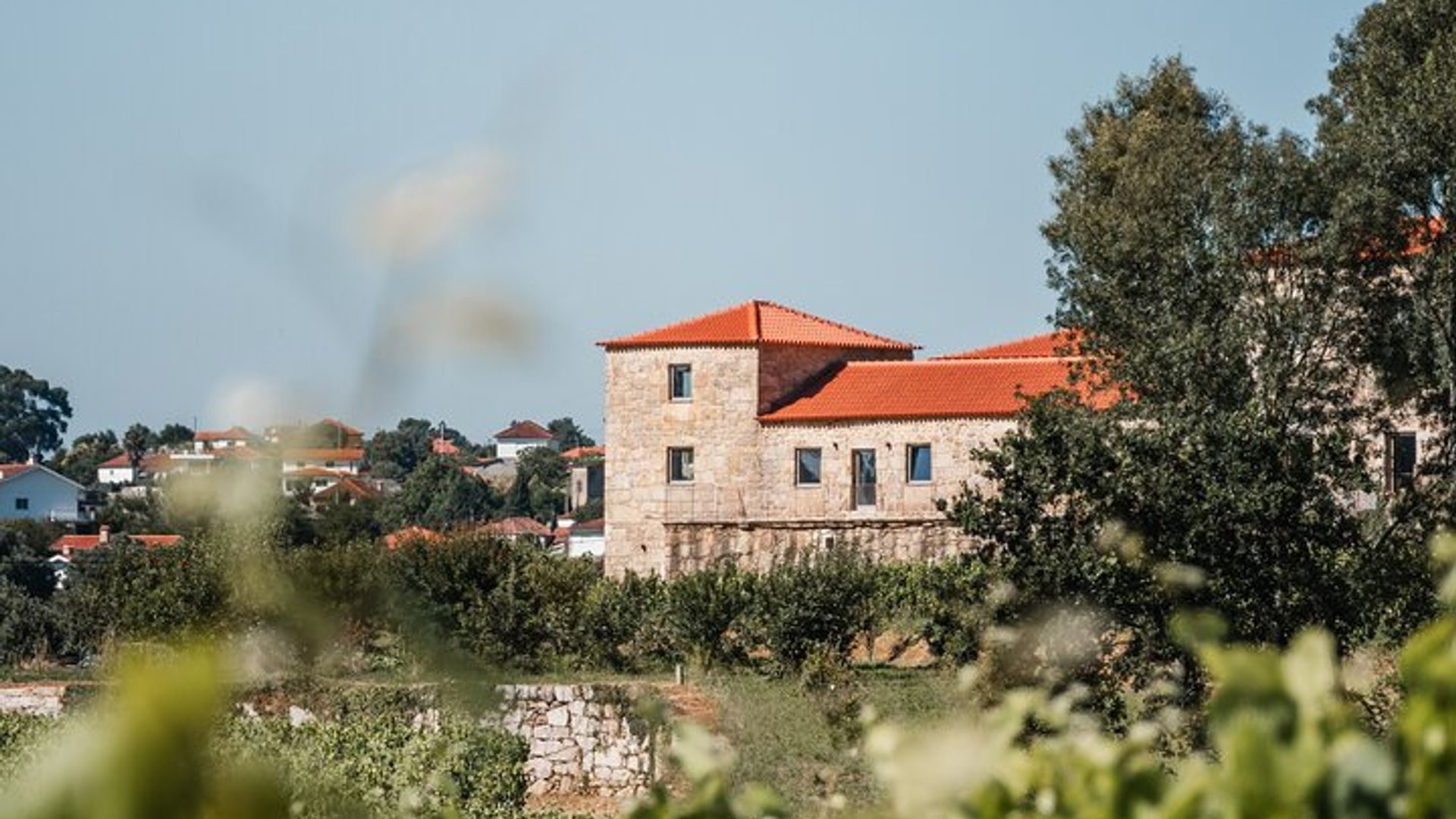 Weinprobe in der Quinta da Torre Anselmo Mendes