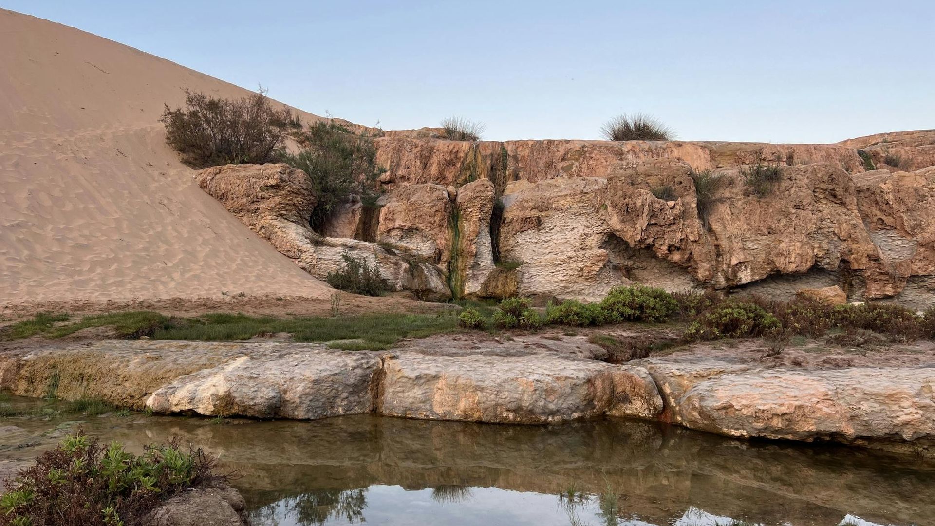 Half day trip to Coast breeze