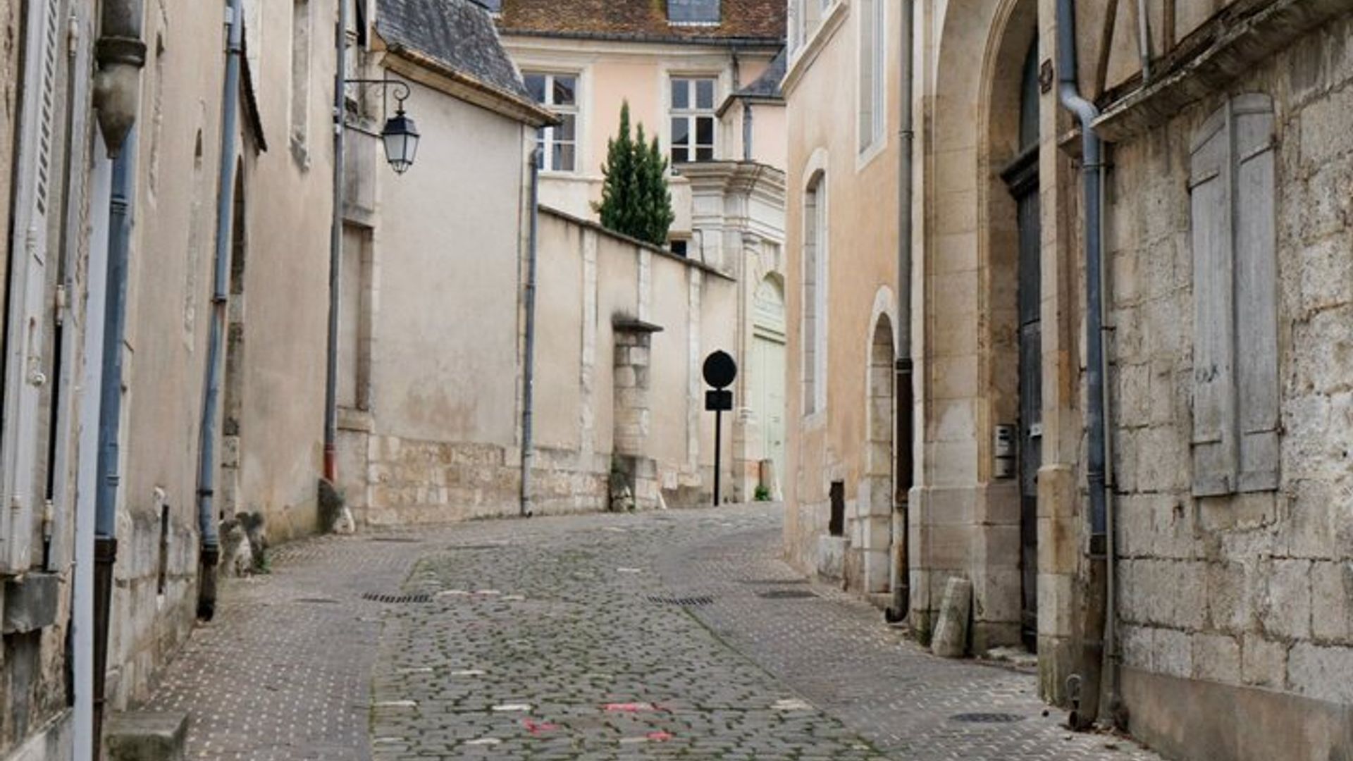 Tour privado guiado de un día de Lyon a Bourges en coche