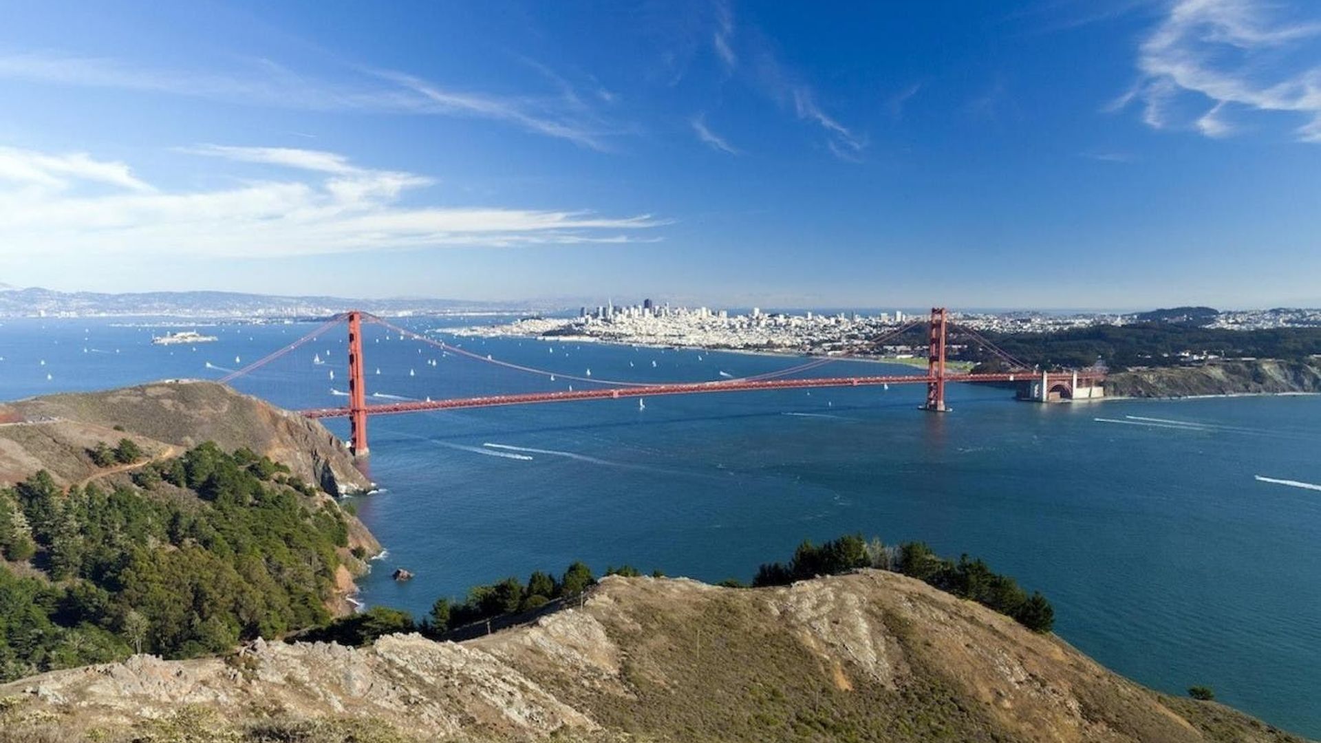 Muir Woods and Sausalito tour with Bay cruise image 1