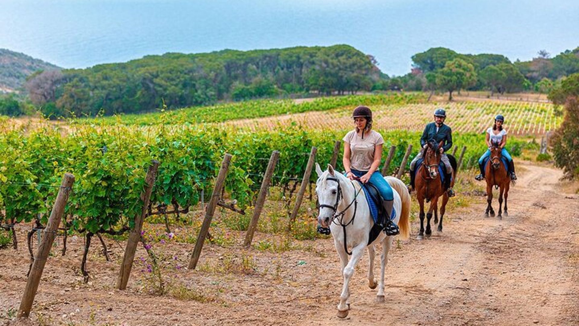 Exclusive Private Horseback Riding and Wine Tasting Experience