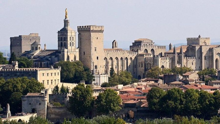 Full private day Avignon Chateuneuf du pape wine tasting